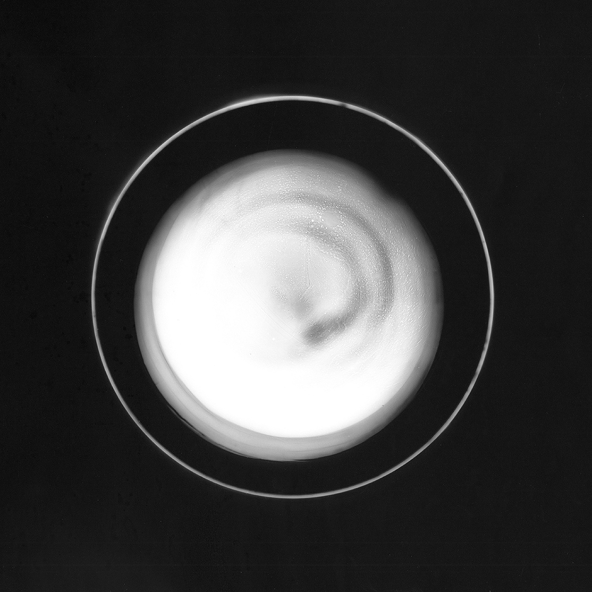 Water in Glass Vase, No. 2
